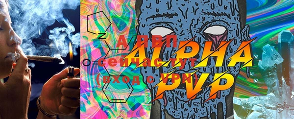 МДПВ Горно-Алтайск